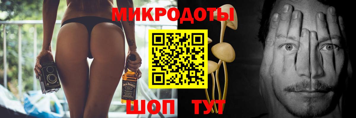 Псилоцибиновые грибы мухоморы  продажа наркотиков  Моздок  Вход с VPN 
